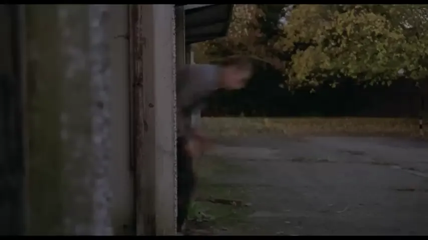 Possum Scene 5
