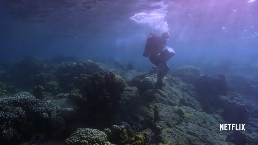 Chasing Coral Scene 3