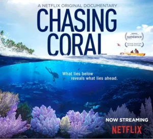 Chasing Coral Movie Poster