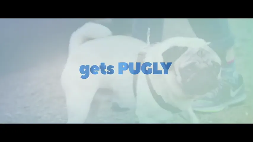 Patrick Scene 5