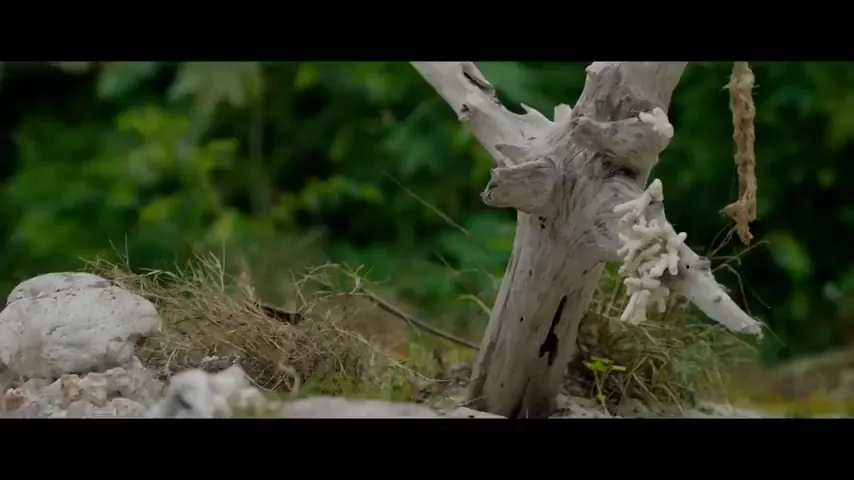 Sweetheart Scene 4