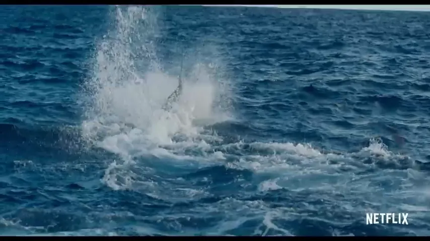 Blue Miracle Scene 5