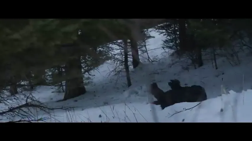 Robert the Bruce Scene 2