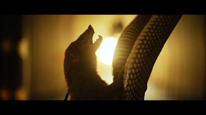Bloody Hell Scene 3