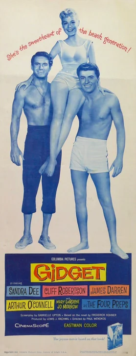 Gidget Movie Poster