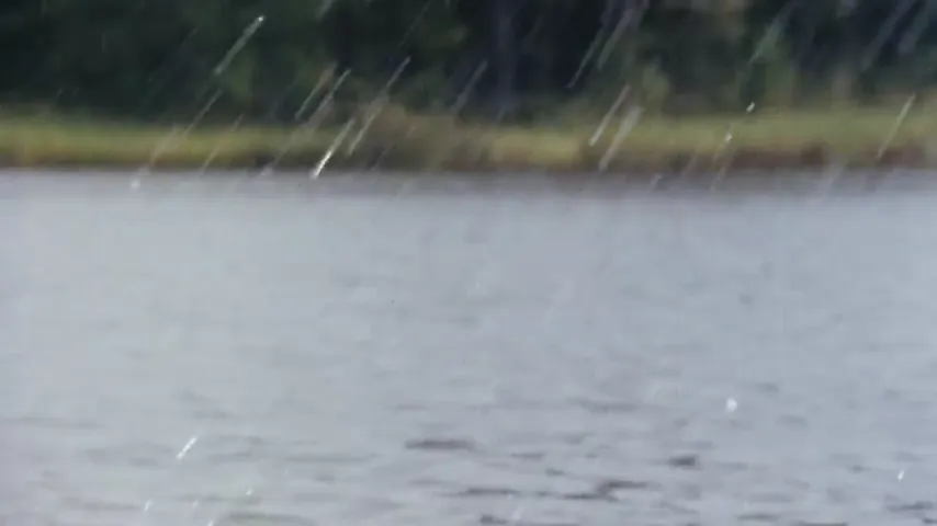 Boggy Creek II: And the Legend Continues Scene 2
