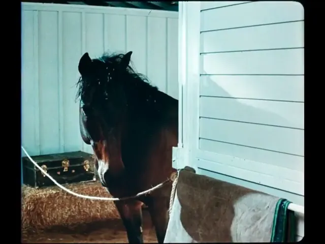 Hot to Trot Scene 1