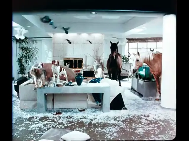 Hot to Trot Scene 5
