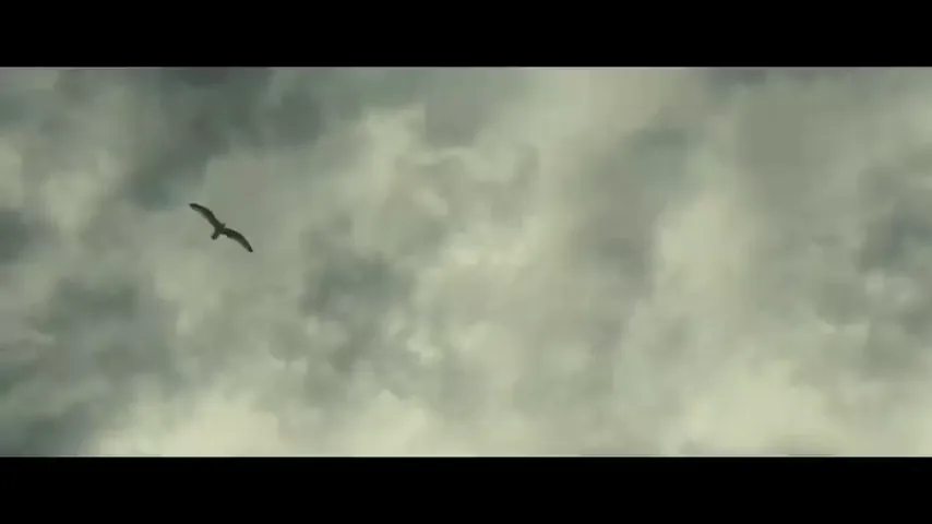 God's Creatures Scene 1