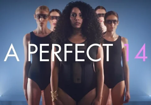 A Perfect 14 Movie Poster