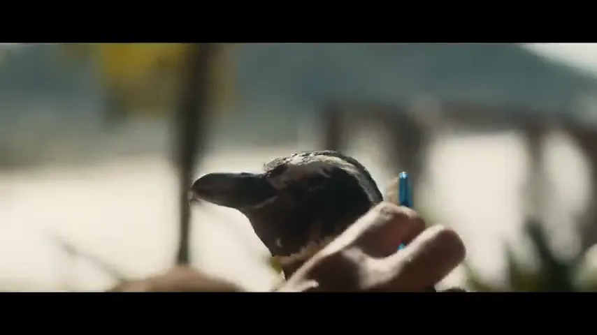 My Penguin Friend Scene 1