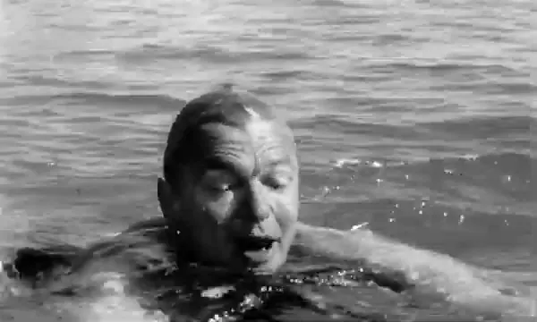 The Snorkel Scene 5
