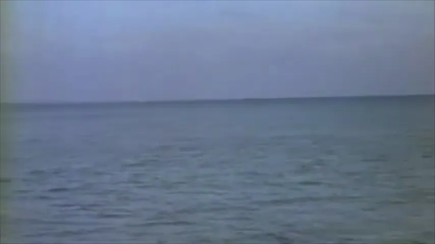 Flipper Scene 1