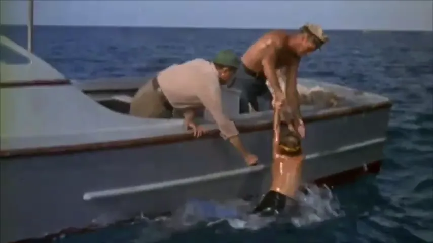 Flipper Scene 5