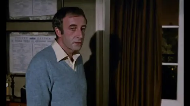 Hoffman Scene 5