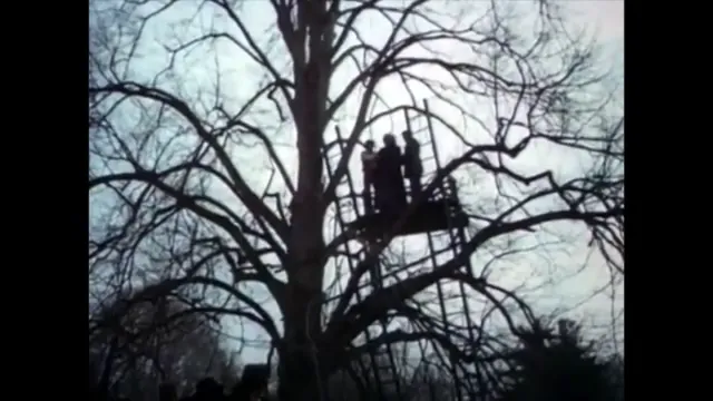 Night of Dark Shadows Scene 2