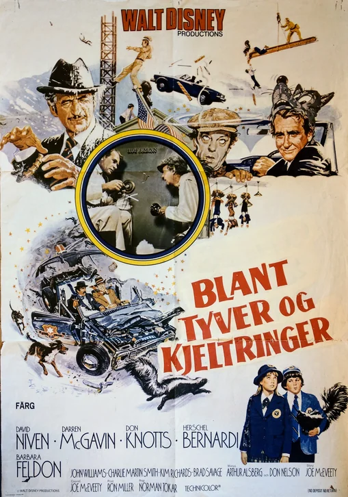 No Deposit, No Return Movie Poster