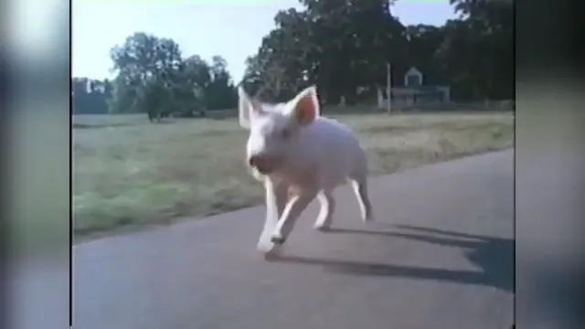 Gordy Scene 2