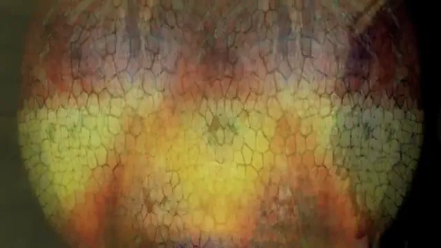 Strange Frame: Love & Sax Scene 2