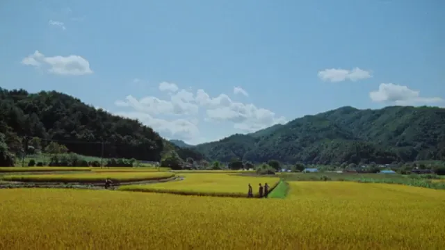 Riceboy Sleeps Scene 5