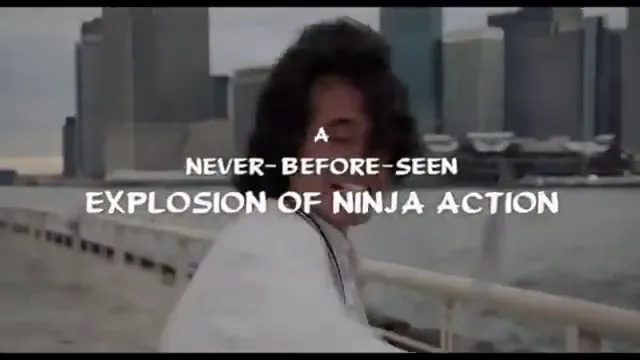 New York Ninja Scene 3