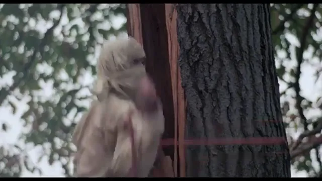 New York Ninja Scene 5
