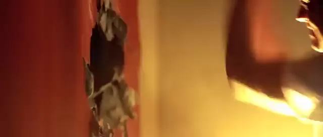 Occupant Scene 5