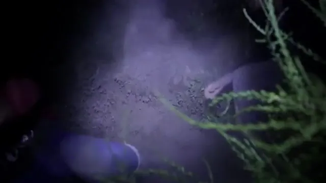 Dark Mountain Scene 5