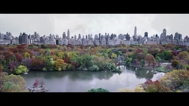 Asthma Scene 1