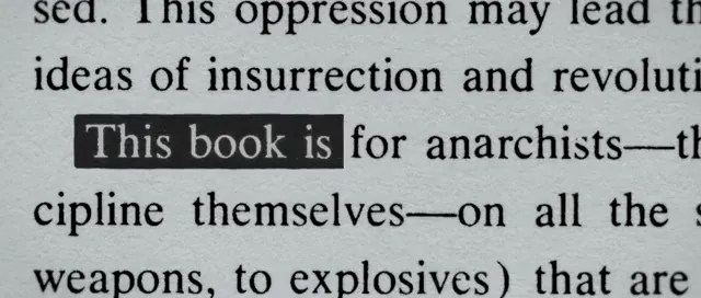 American Anarchist Scene 1
