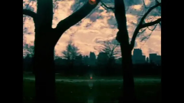 Nico, 1988 Scene 1