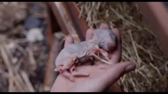 Martyrs Lane Scene 2