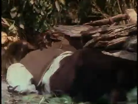 Treasure Island Scene 4
