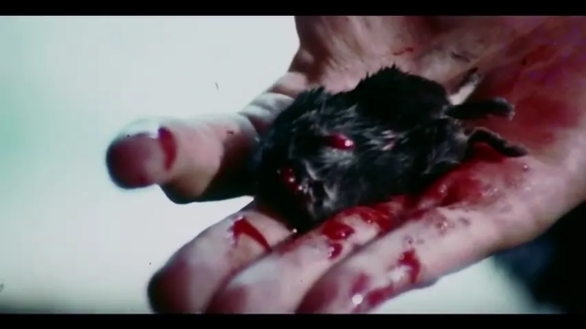 Let's Scare Jessica to Death Scene 2