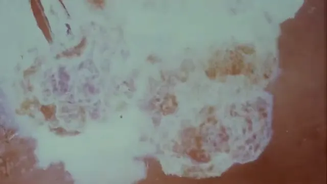 The Exterminator Scene 5