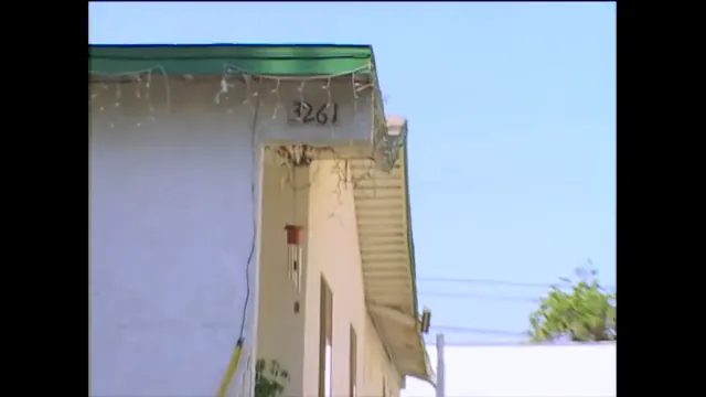 Dig! Scene 1