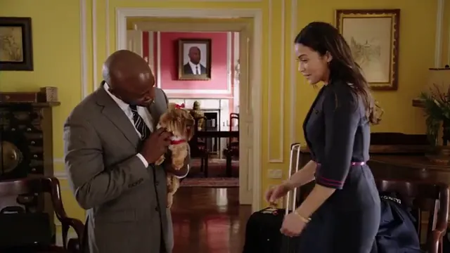 Baggage Claim Scene 3