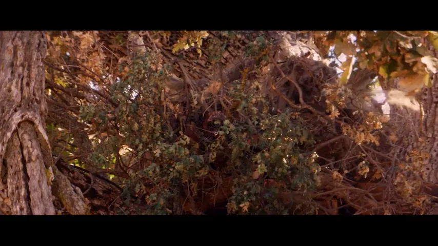 Downrange Scene 1