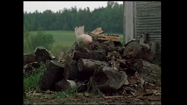 The Mudge Boy Scene 1